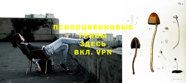 прущая мука Новозыбков