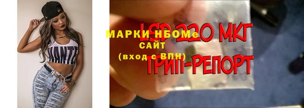 эйфоретик Новокубанск