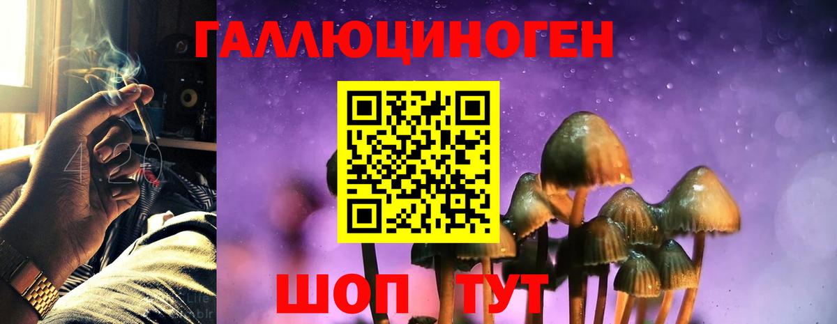 Галлюциногенные грибы ЛСД Урюпинск